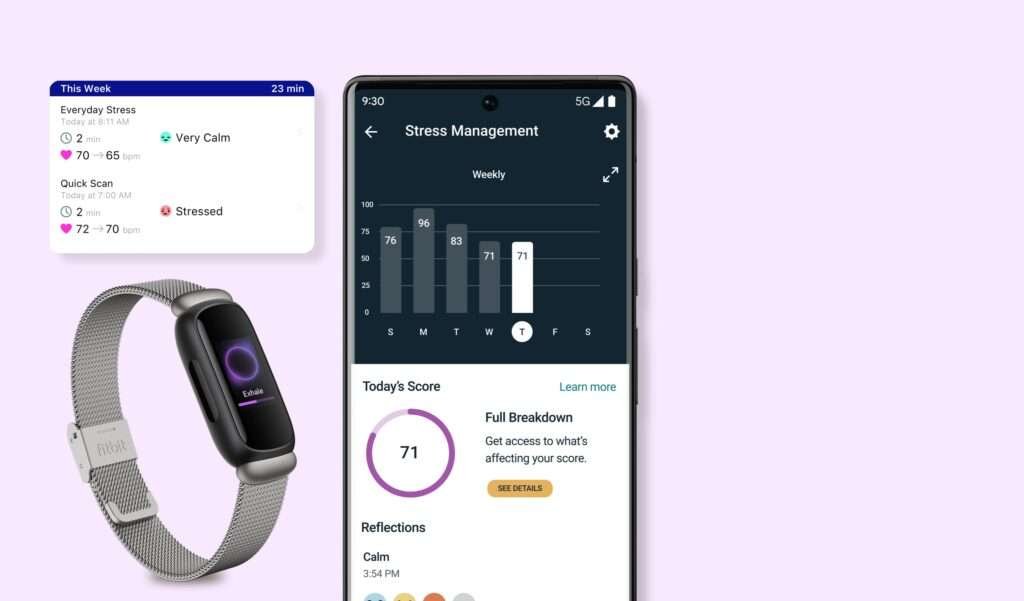 Fitbit-inspire3 wellness